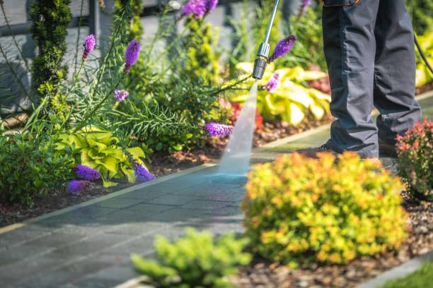 Reliable Williamstown, WV Pressure Washing Solutions
